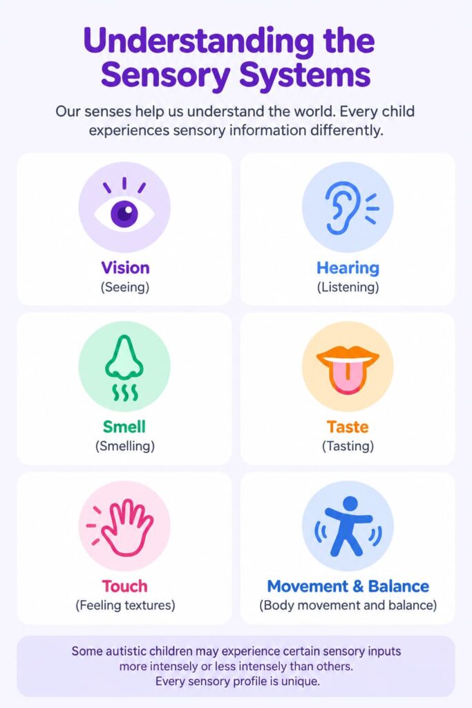 Infographic showing the six sensory systems: vision, hearing, smell, taste, touch, and movement & balance, explaining that every child experiences sensory information differently.
